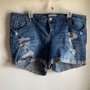 Torrid Shorts
